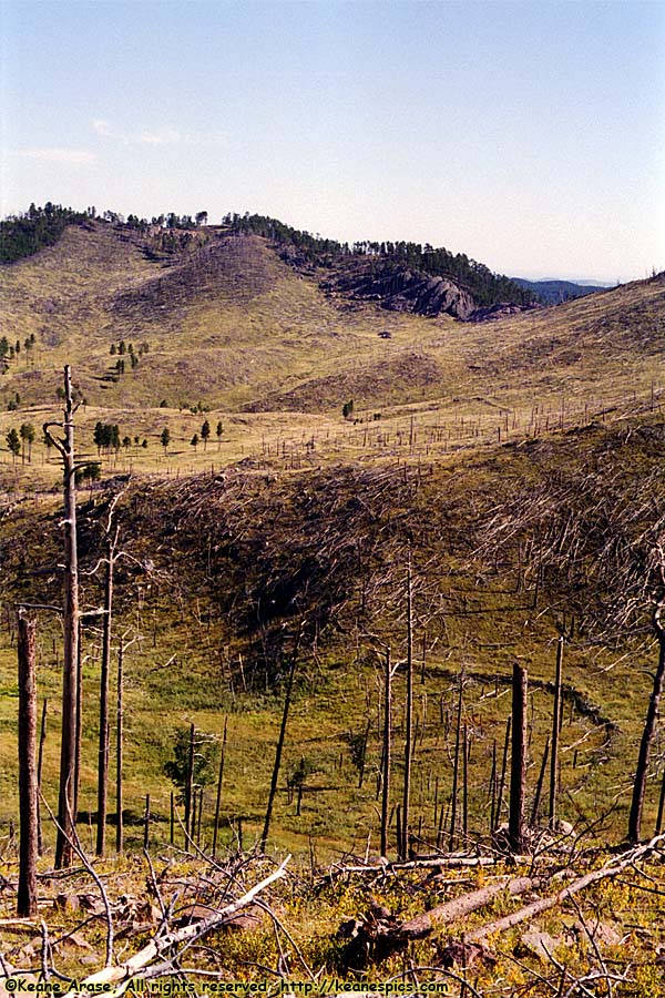 SD87, Mt. Coolidge Fire tower