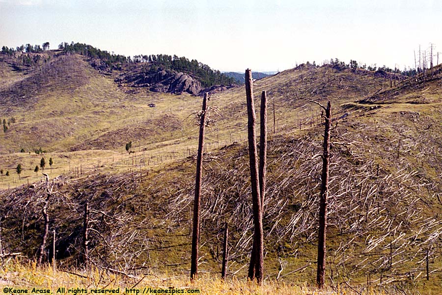 SD87, Mt. Coolidge Fire tower