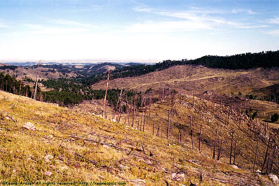 SD87, Mt. Coolidge Fire tower