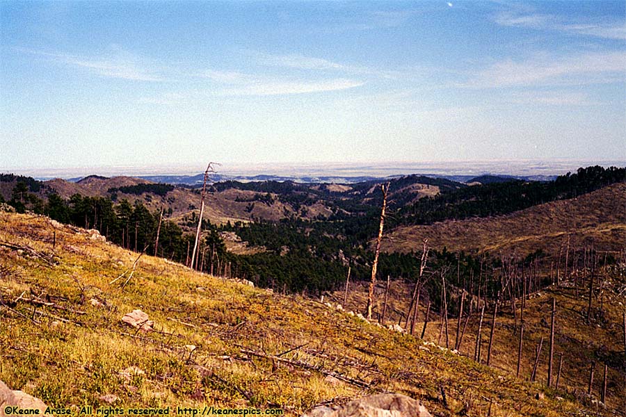 SD87, Mt. Coolidge Fire tower