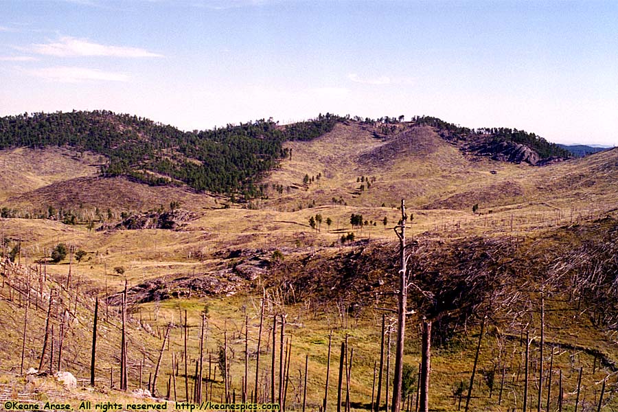 SD87, Mt. Coolidge Fire tower