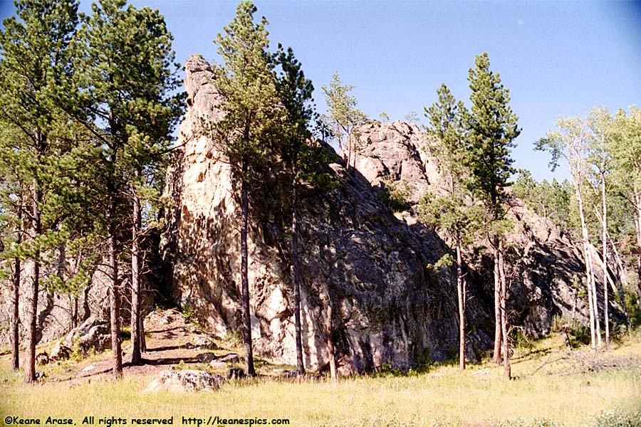 Along Needles Highway (SD87)