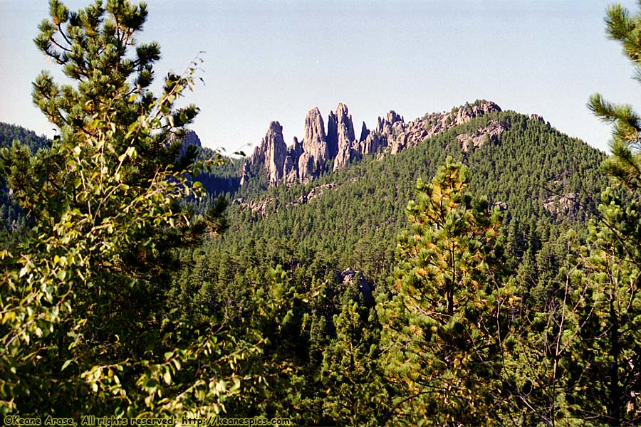 Along Needles Highway (SD87)