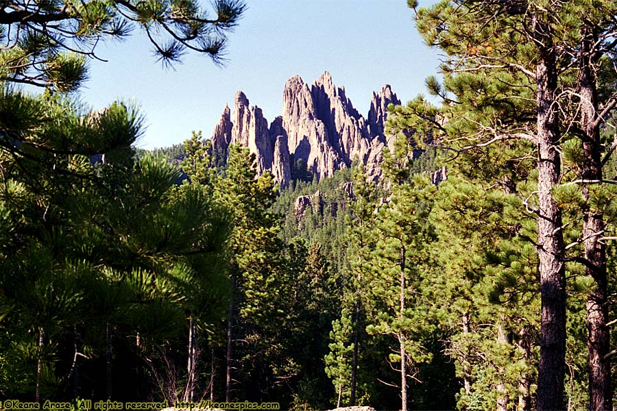 Along Needles Highway (SD87)