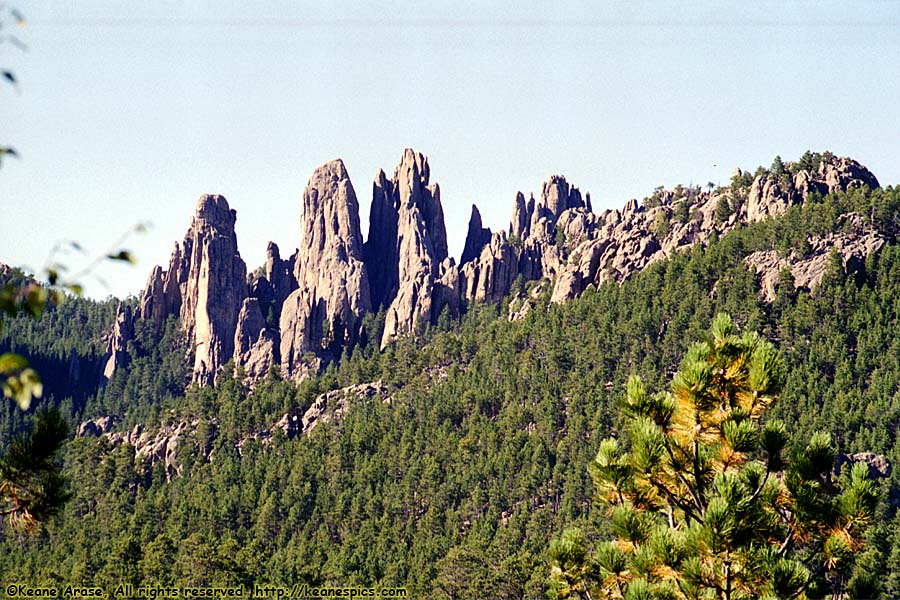 Along Needles Highway (SD87)