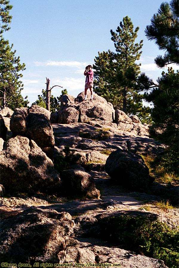 Along Needles Highway (SD87)