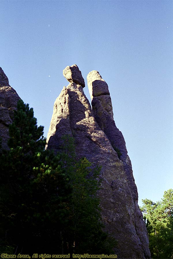 Along Needles Highway (SD87)