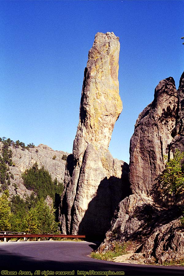 Along Needles Highway (SD87)