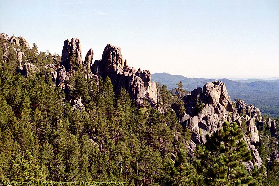 Along Needles Highway (SD87)