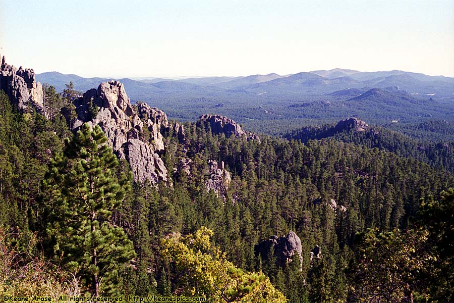 Along Needles Highway (SD87)