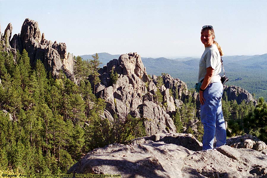 Along Needles Highway (SD87)