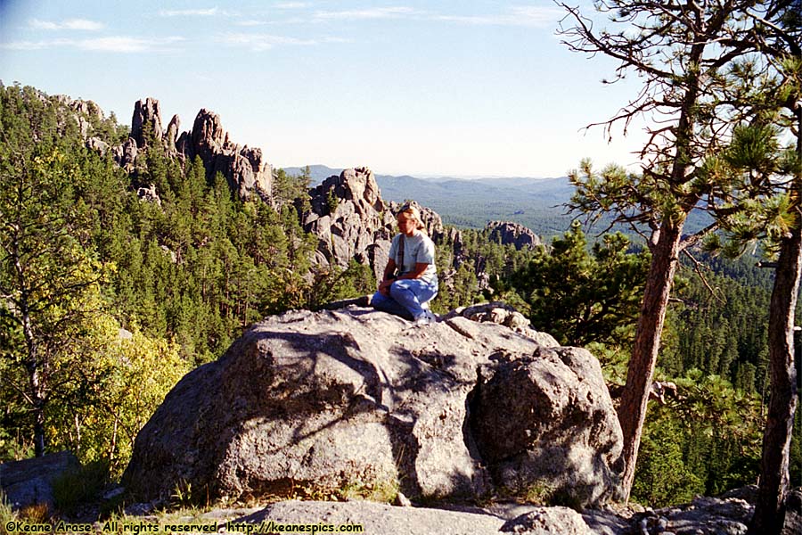 Along Needles Highway (SD87)