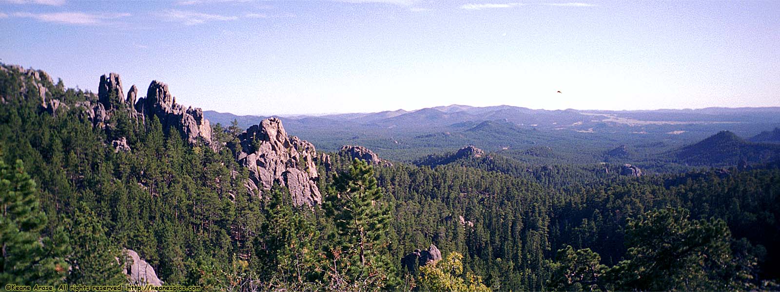 Along Needles Highway (SD87)