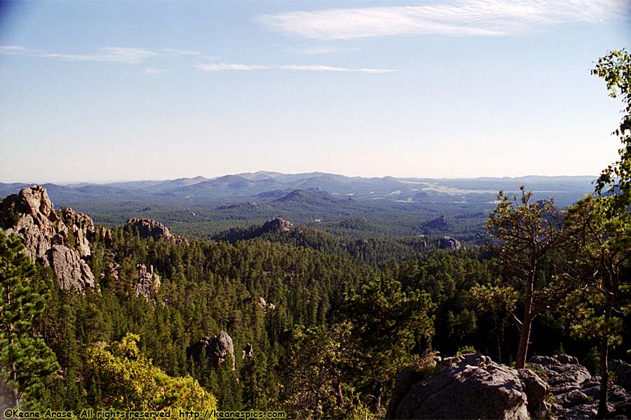 Along Needles Highway (SD87)