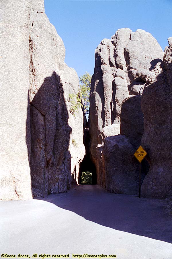 Along Needles Highway (SD87)