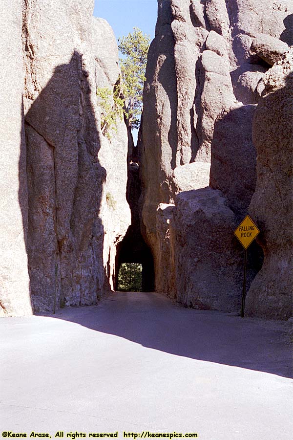 Along Needles Highway (SD87)