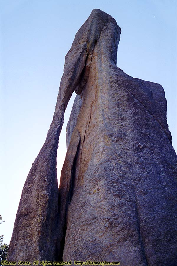 Along Needles Highway (SD87)