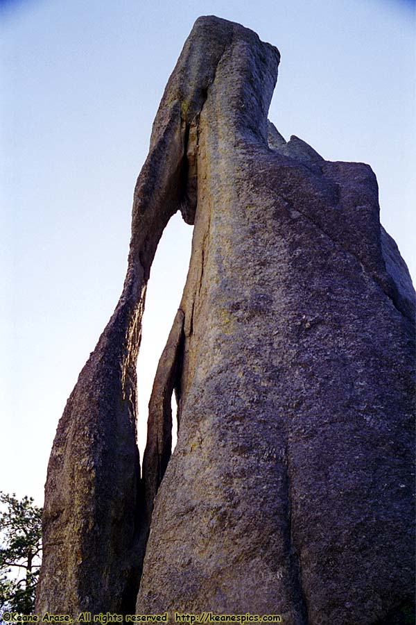 Along Needles Highway (SD87)