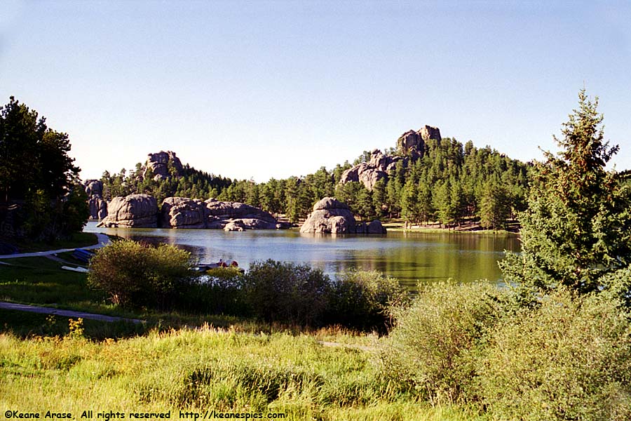 Along Needles Highway (SD87)