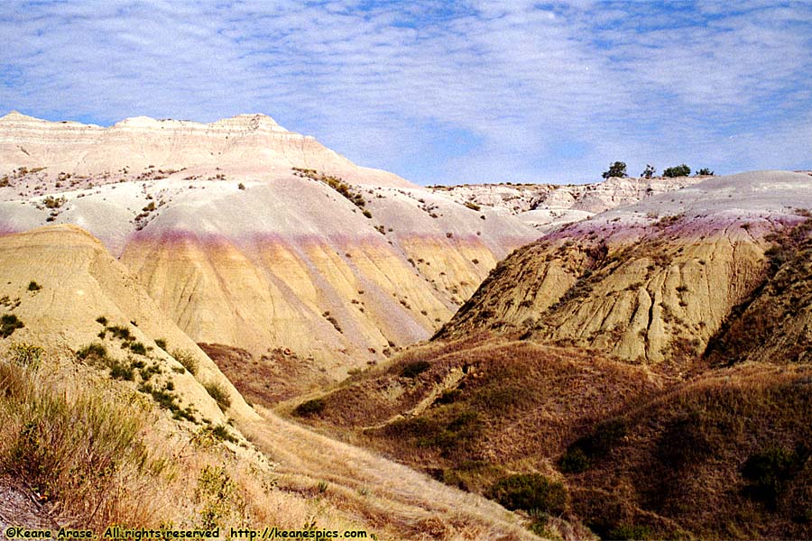 Yellow Mounds Overlook (was Seabed Jungle)