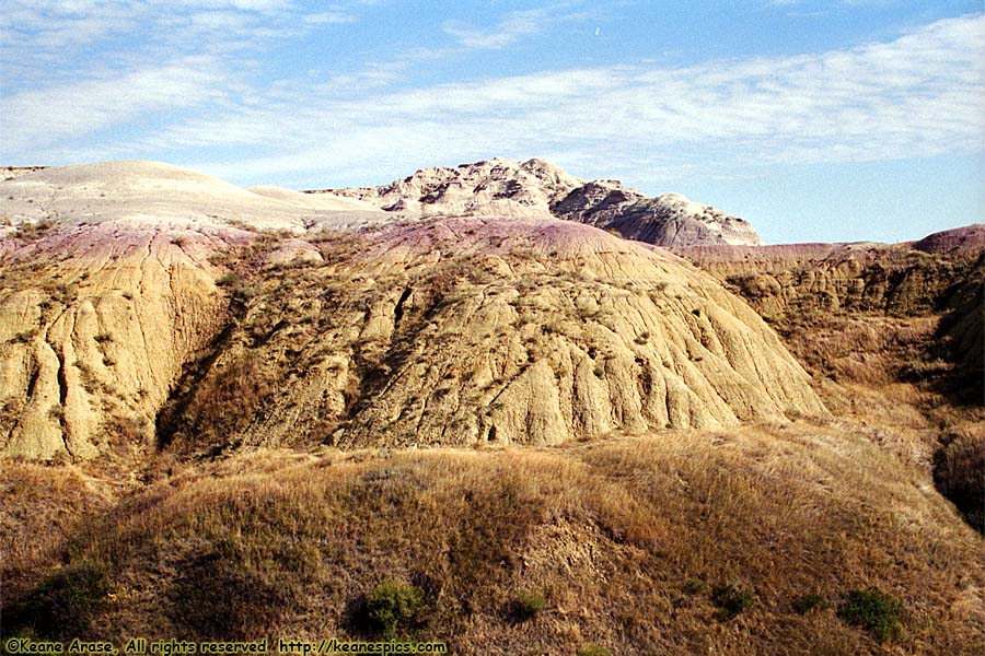 Yellow Mounds Overlook (was Seabed Jungle)