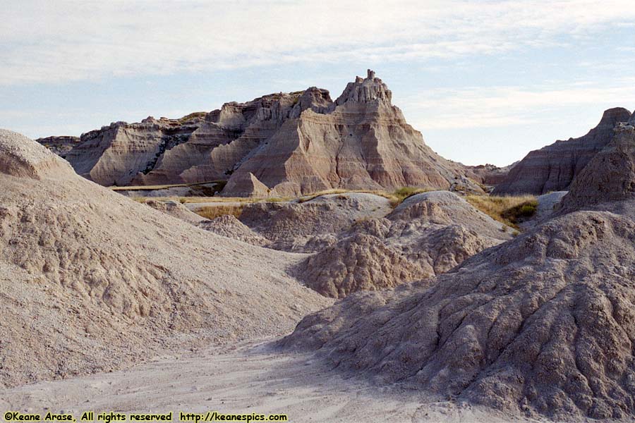 Along Fossil Exhibit Trail