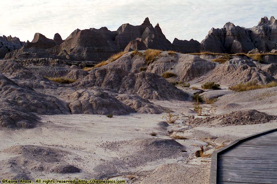 Along Fossil Exhibit Trail