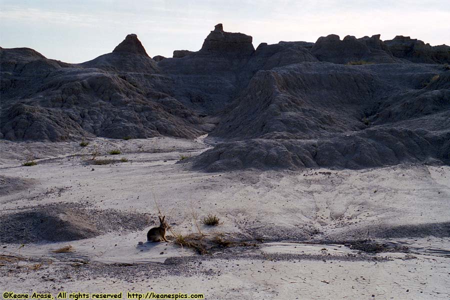 Along Fossil Exhibit Trail