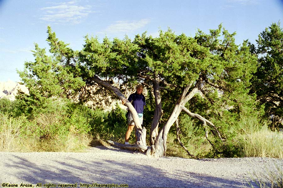 Cliff Shelf Nature Trail