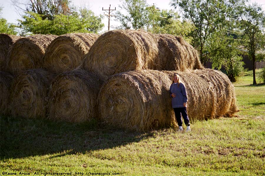 Hay Rolls