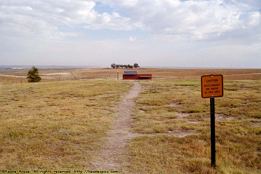 Grasslands