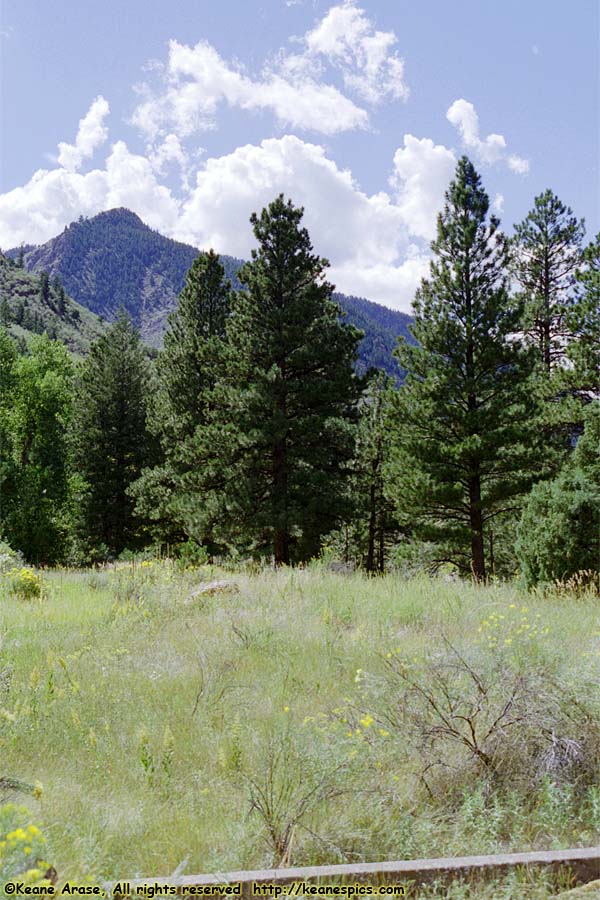 Cache La Poudre River