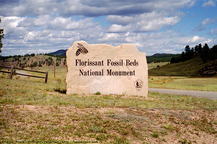 Florissant Fossil Beds NM