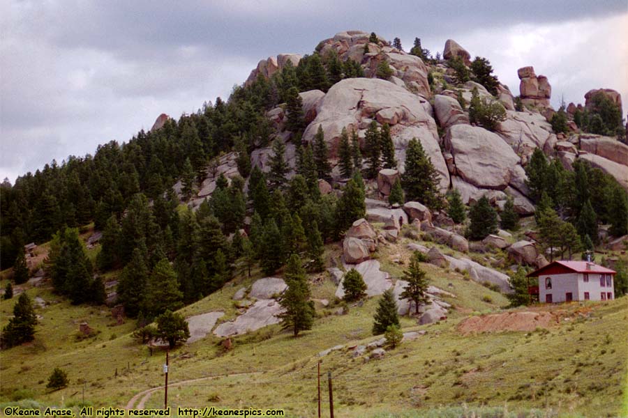 Along Cripple Creek - Florissant Road