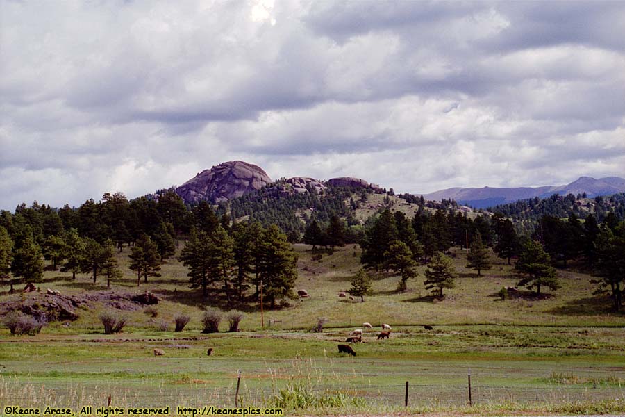 Along Cripple Creek - Florissant Road