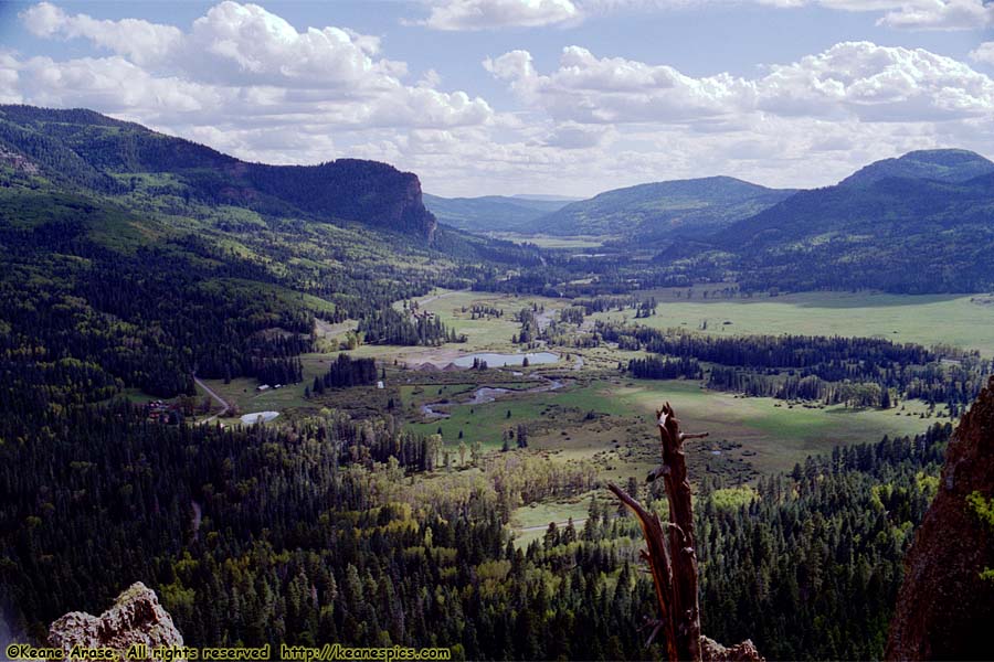 Near Wolf Creek Pass