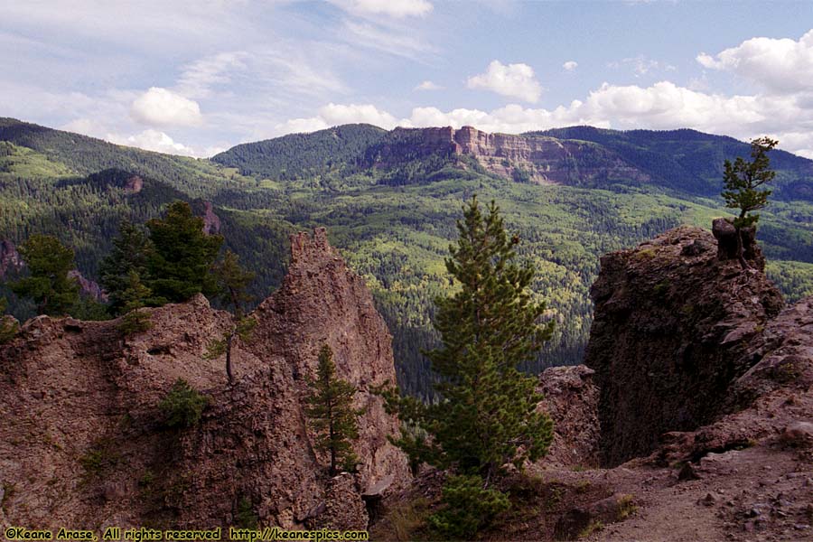 Near Wolf Creek Pass