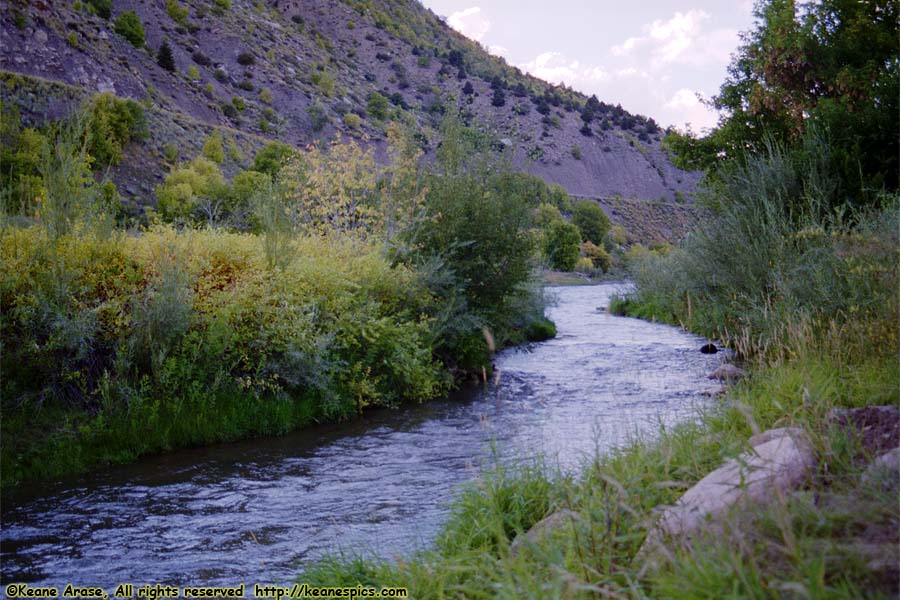 Animas River