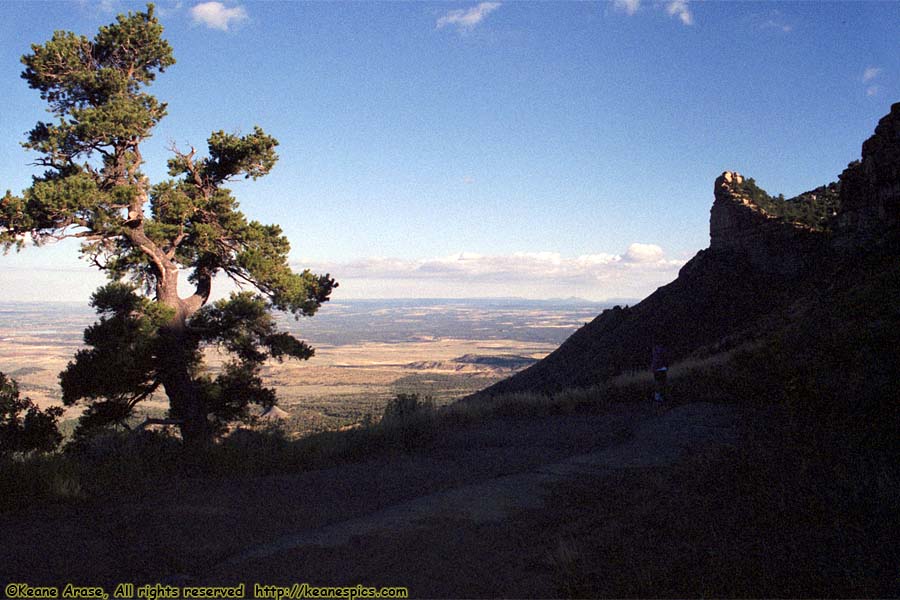 Montezuma Valley Overlook