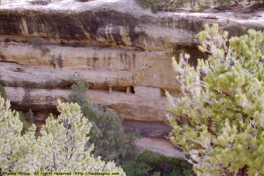 Along Spruce Tree House Trail