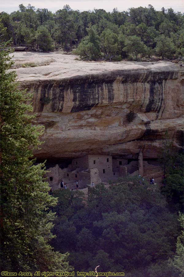 Along Spruce Tree House Trail