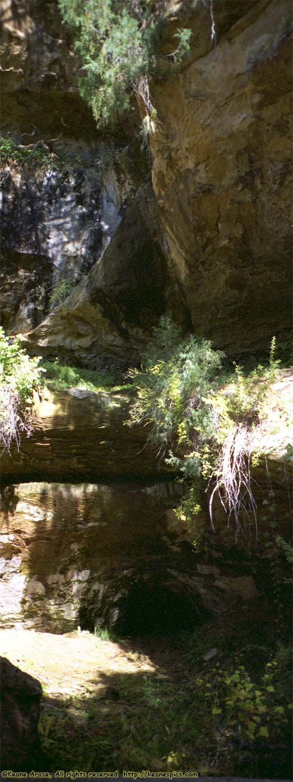 Along Spruce Tree House Trail