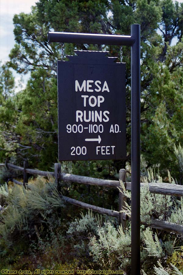 Mesa Top Ruins (900-1100AD)