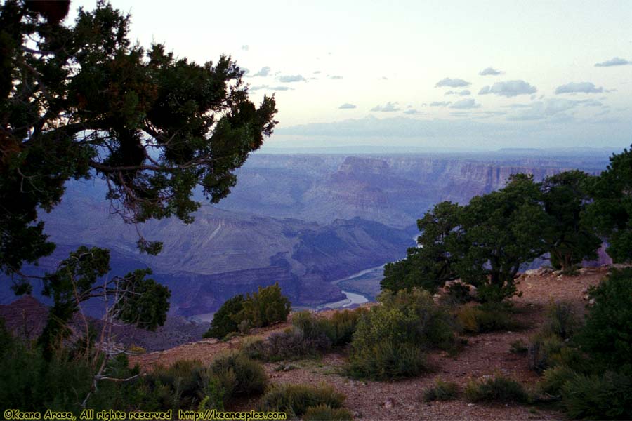 Desert View