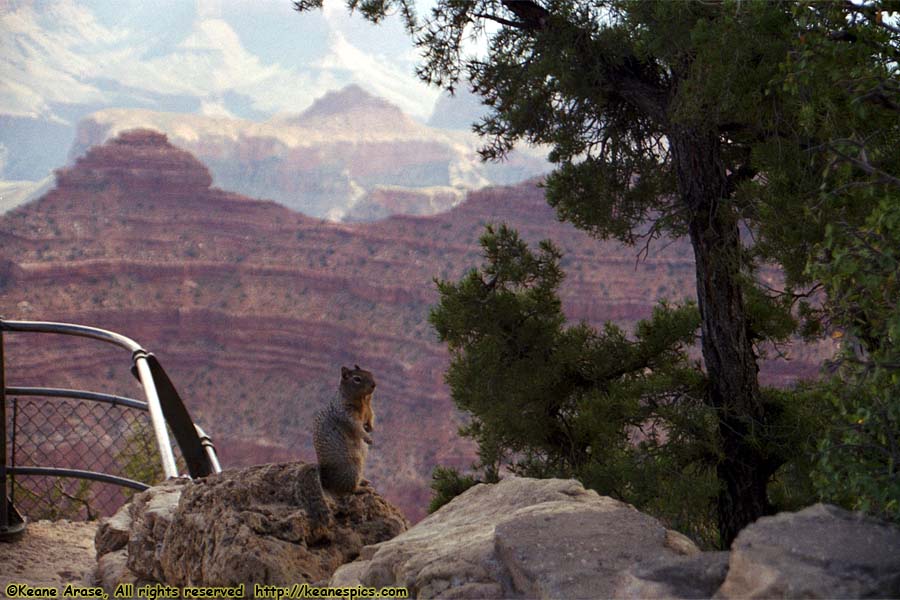 Mather Point