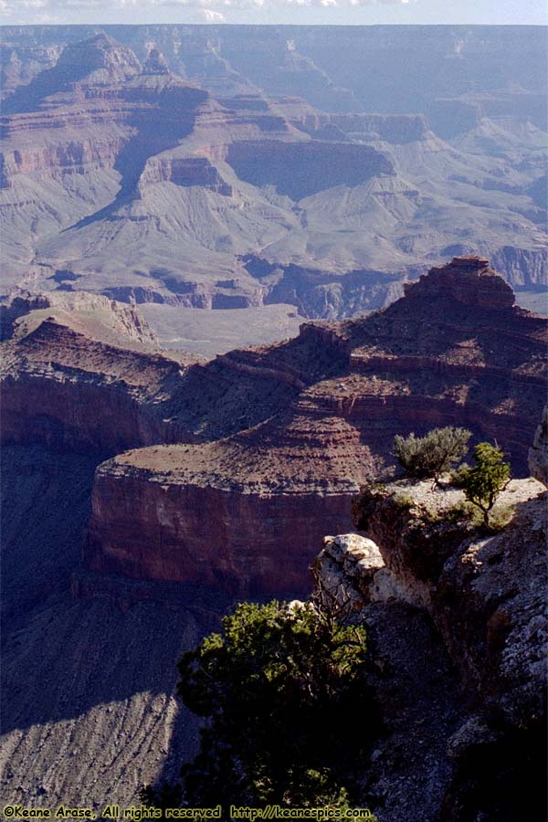 Yaki Point