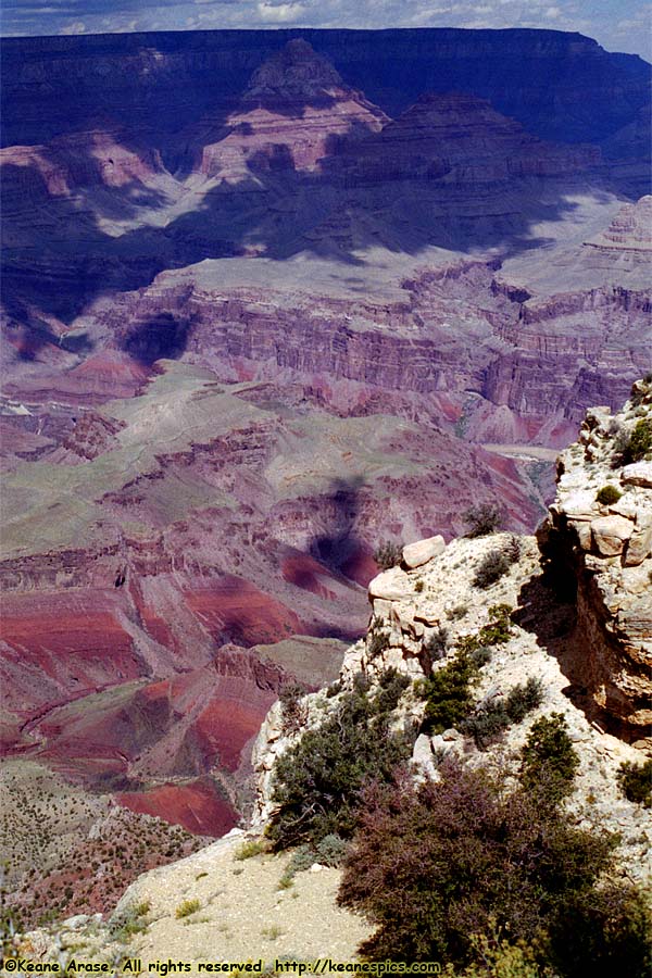 Moran Point