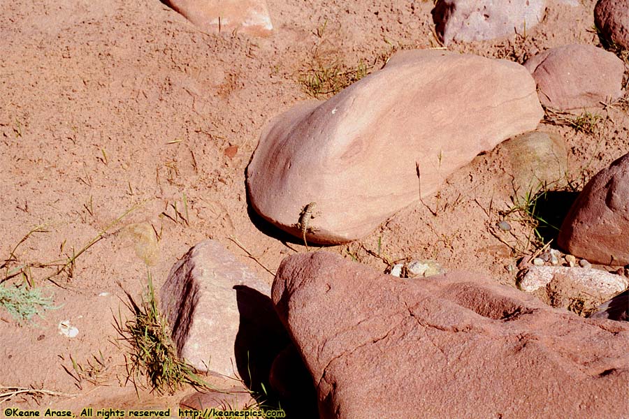 Paria Beach (Colorado River)