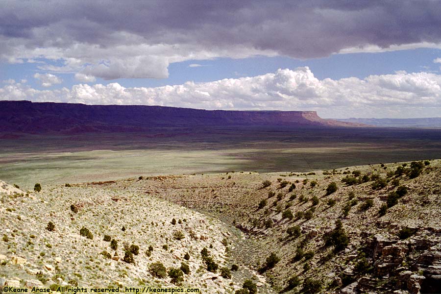 Vermilion Cliffs / House Rock Valley