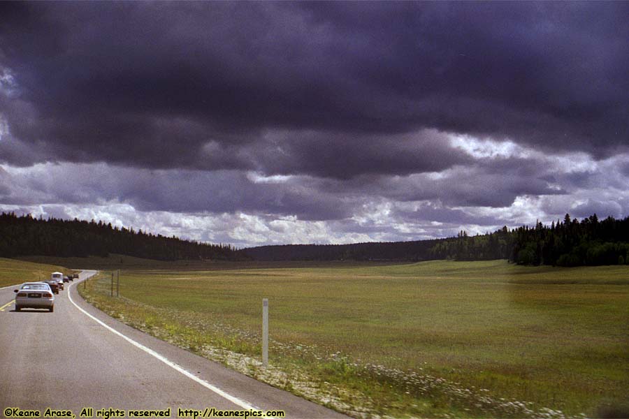 Along SR-67, Kaibab National Forest